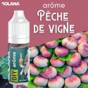 Concentré Pêche de Vigne 10ml - Solana