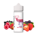 fruits des bois solana 100ml