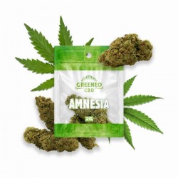 Amnesia Fleurs de CBD -...